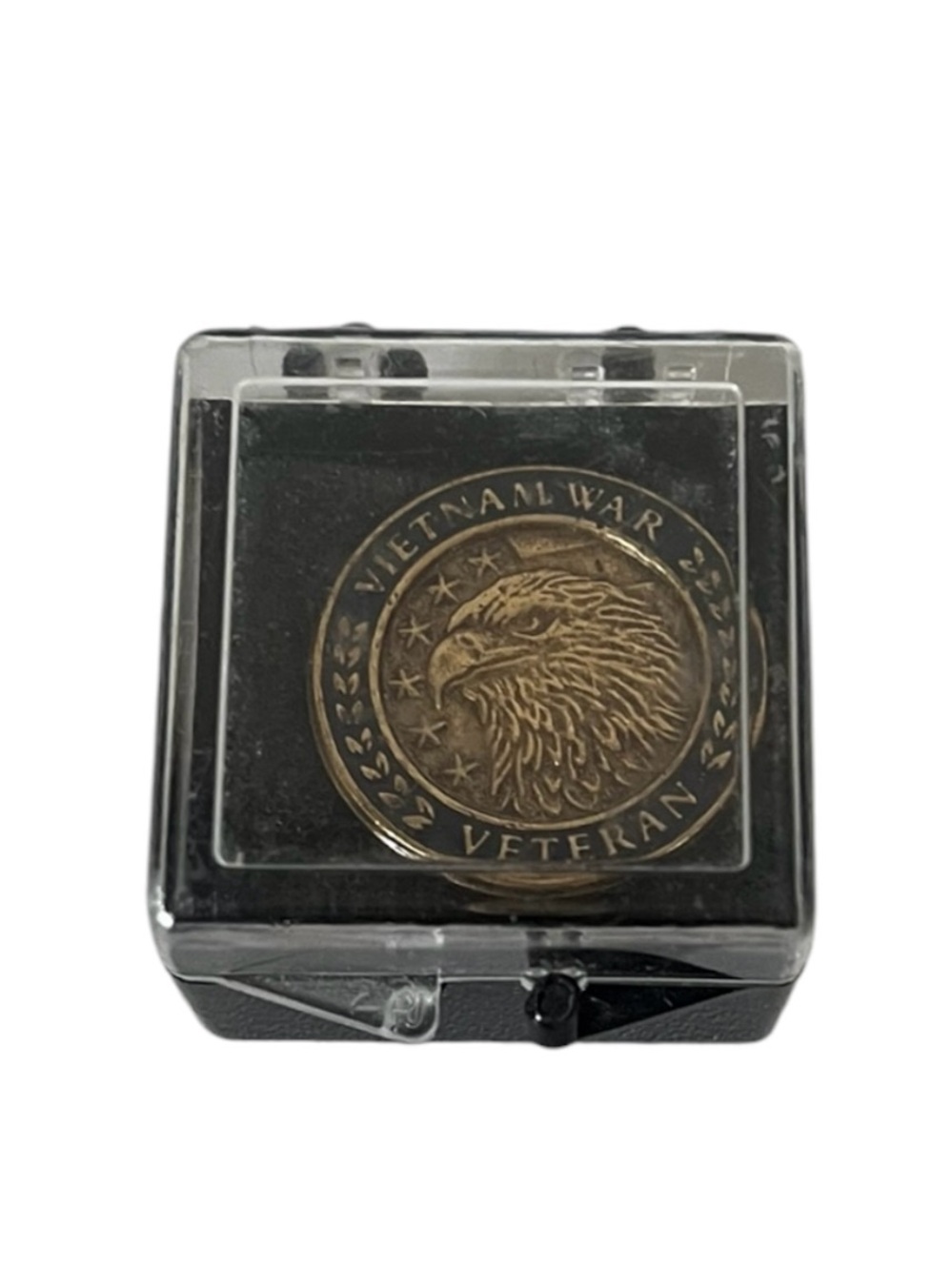 Vietnam War Veteran Commemorative Brass Pin
